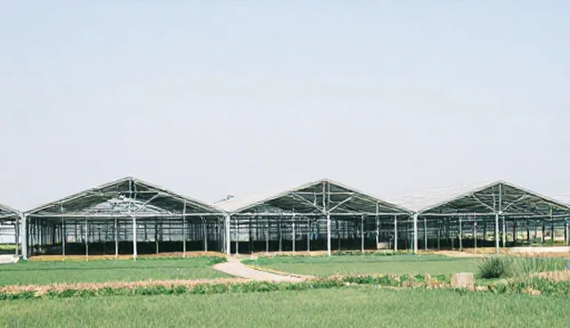 处理方法:能力建设在业务趋势中的常见问题与处理方法